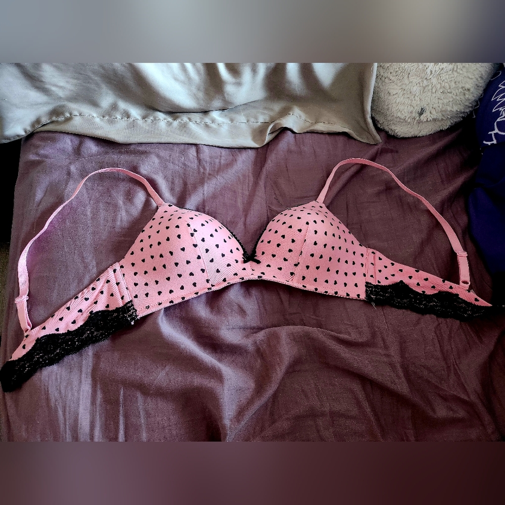 La Vie En Rose Pink Bra with Black Lace